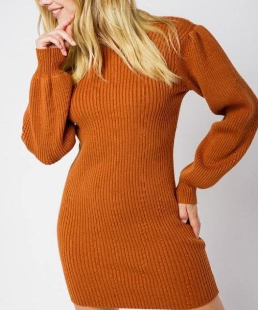 Always Chic Long Sleeve Sweater Dress. Burnt Orange Front View with Pose